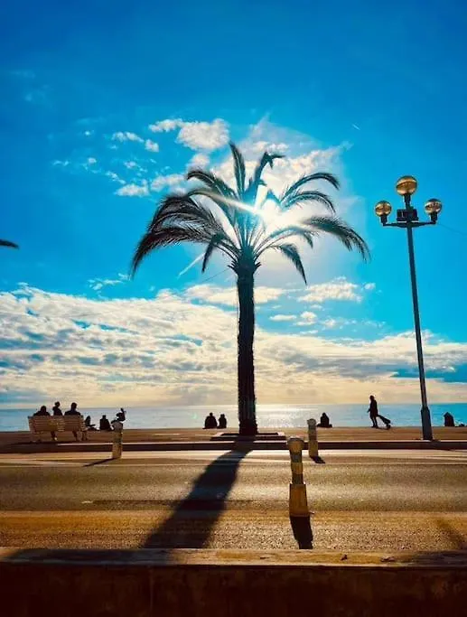 Charmant 70 M2 Coeur De Nice Lägenhet